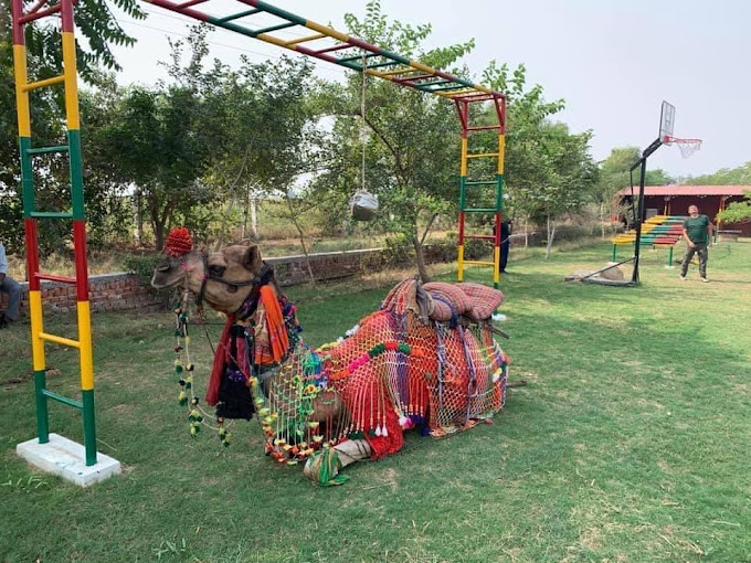 Ratangarh Farm|Adventure Park|Entertainment