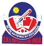 S.N.G V.B School Logo