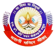 SD Senior Secondary School Logo