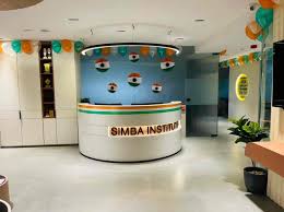 Simba InfoTech And Institute LLP|Schools|Education