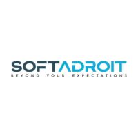 SoftAdroit System Solutions|IT Services|Professional Services