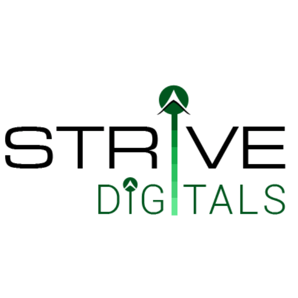 Strive Digital Private Limited|Architect|Professional Services