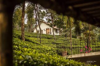 Tea Terrace Vythiri Accomodation | Resort