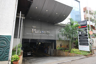 The Platinum Boutique Logo