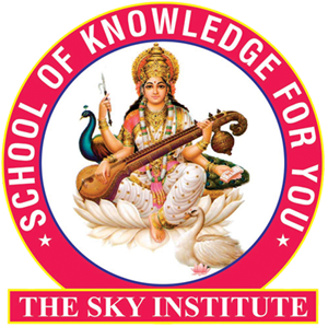 The Sky Institute Logo