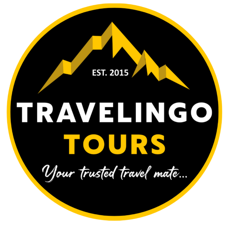 TravelinGo Tours - Logo