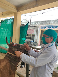 Uddeshiya Pashu Chikitsalaya Medical Services | Veterinary