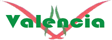 Valencia Hospital Logo