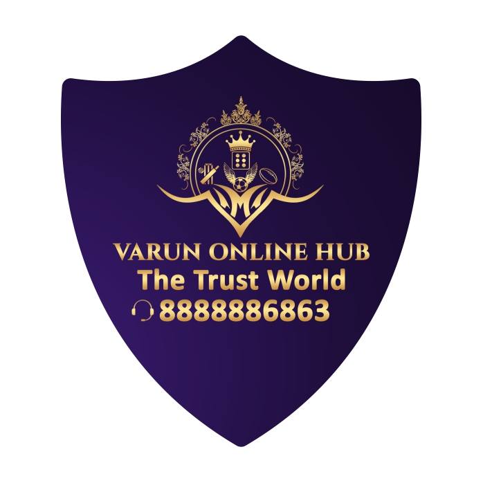 Varun Online Hub|Company|Business Services