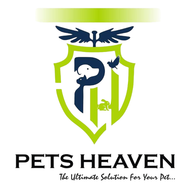 Varun Pets Heaven|Diagnostic centre|Medical Services