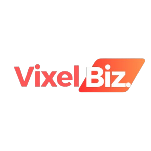 VixelBiz - Best SEO Agency in Delhi | SEO services in Delhi NCR|Accounting Services|Professional Services