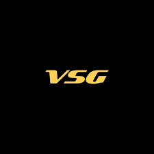 VSG FOTOS Logo