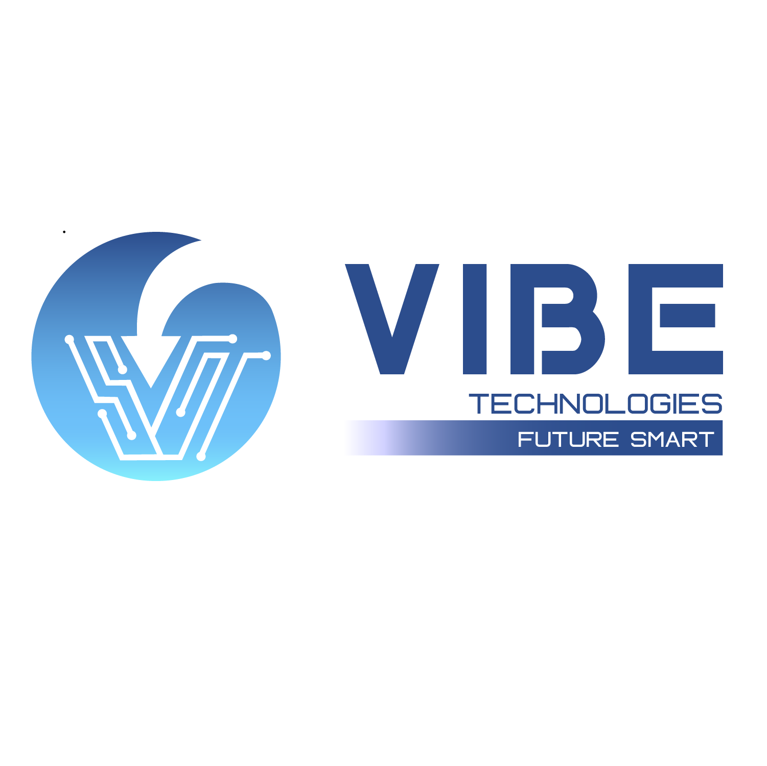 VVibe Technologies|IT Services|Professional Services